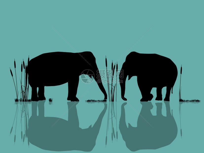 水中野生大象剪影背景图片