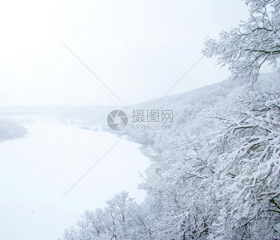 冬季风景有雪树图片