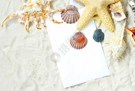 海星和在沙滩上弹出一张空白明信片图片