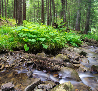 森林中一条清的小溪上连锁山脉图片素材