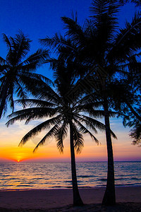 热带海滩度假胜地美丽的日落图片