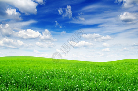草地和美丽的蓝天空图片