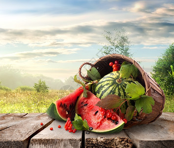 西瓜在篮子中美的风景图片