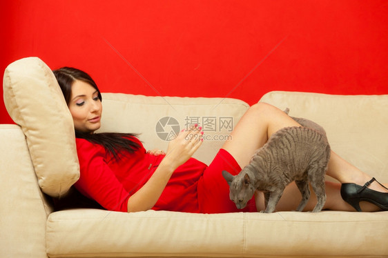 孕妇在沙发上和猫玩耍图片