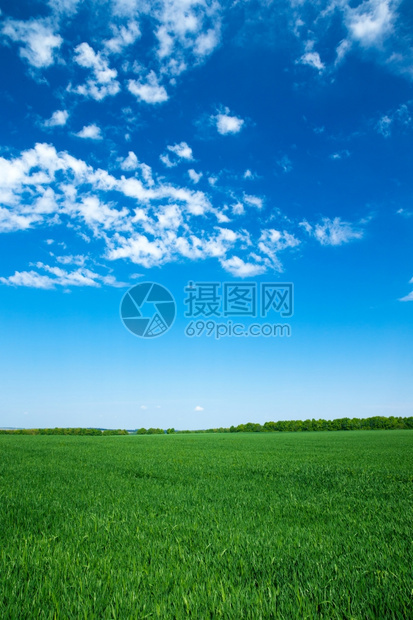 蓝天空背景的字段xAxA图片