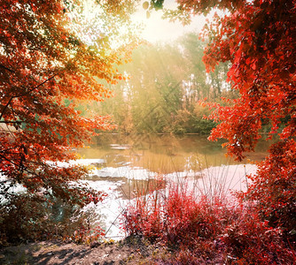 秋天在平静的河上晒太阳图片
