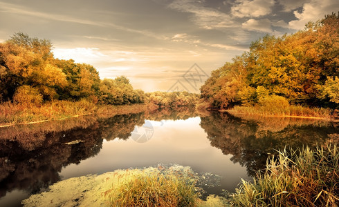 秋林中美丽宁静的河流图片