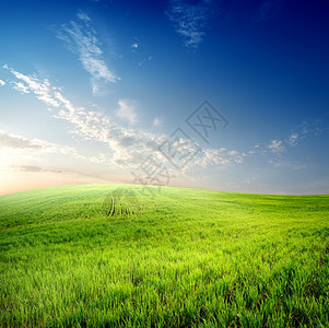 绿草在田野上云天空图片