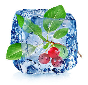 切樱桃在冰雪的立方体中孤在白色上图片