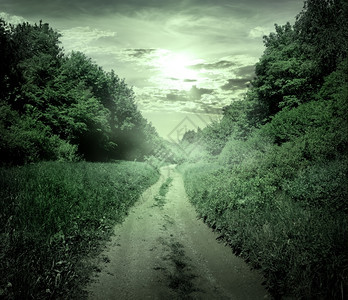 黄昏时穿过森林的乡村公路图片