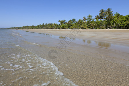 澳大利亚昆士兰州任务海滩上有棕榈树的海滩图片