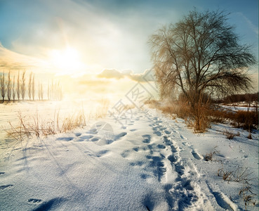 清晨阳光明媚的农村寒雪冬图片