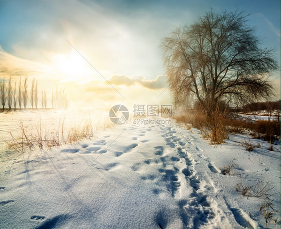 清晨阳光明媚的农村寒雪冬图片