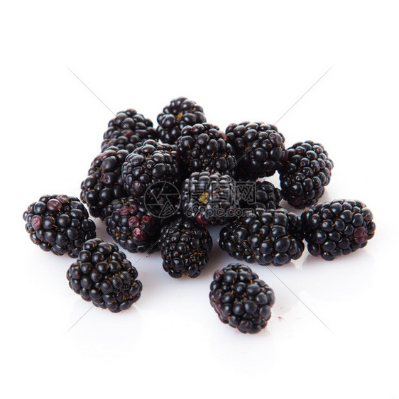 黑莓图片