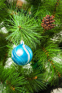 圣诞装饰树枝和蓝球图片