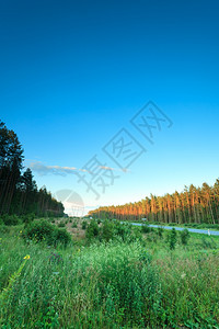秋初通过森林的波兰沥青路图片