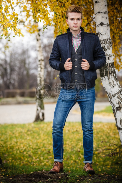 秋季节和人的概念全年轻时尚男子在秋天的树上摆布黄叶背景图片