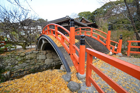 日本京都Shimogamojinja神庙桥上的黄叶图片