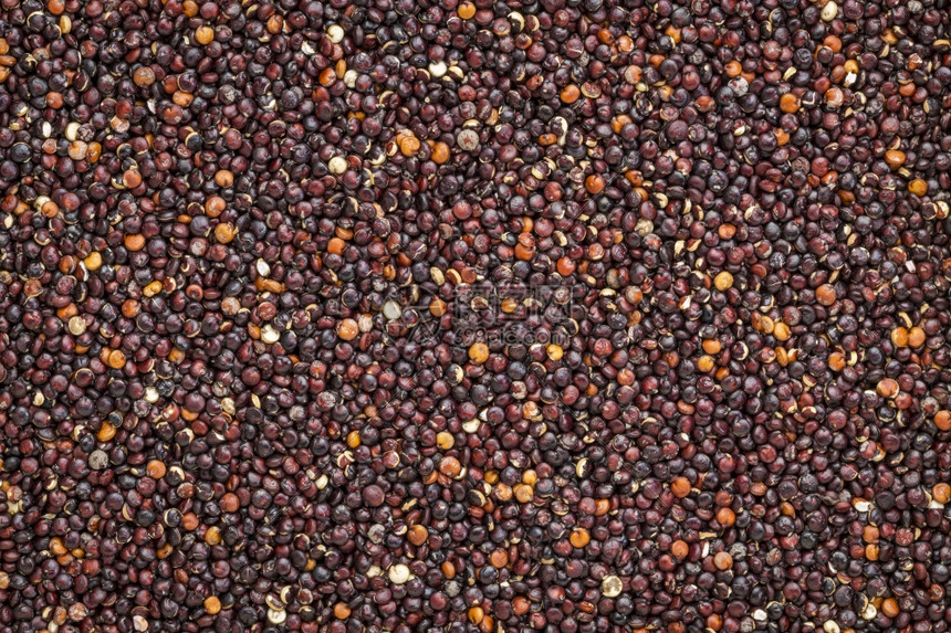 玻利维亚种植的无谷类黑quinoa谷物的背景和质素图片