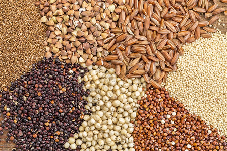 buckwheatamaranth棕米小高梁Teff红色quinoai最高视图图片