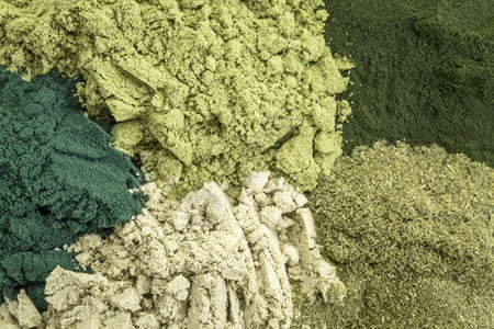 5种健康的绿色食物补充粉末脊髓灰质炎氯小麦草海藻和明叶图片