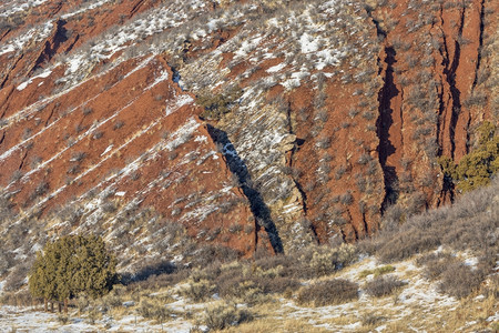 红山开放空间的冬季风景科罗拉多州柯林斯堡附近图片