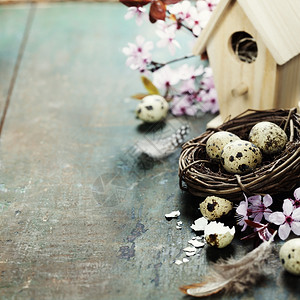 复活节配有小鸟屋和樱花枝图片