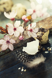 复活节成分包括蛋和樱桃花枝图片