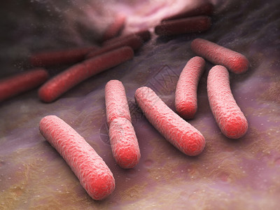 e大肠杆菌细胞图片素材