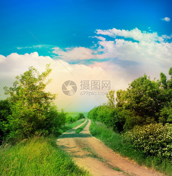 夏日风景与道路图片