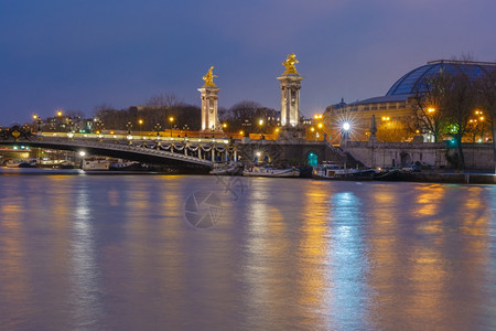 亚历山大三世或桥在法国巴黎夜间照明图片