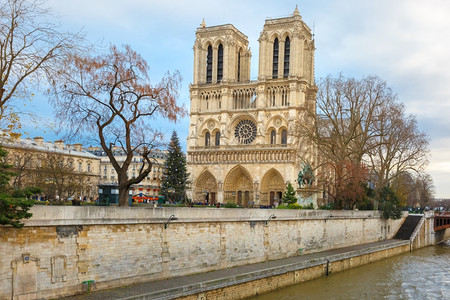 法国巴黎圣母教堂西面正前的圣诞树图片
