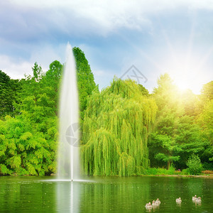 门前草坪湖中的大喷泉太阳光背景