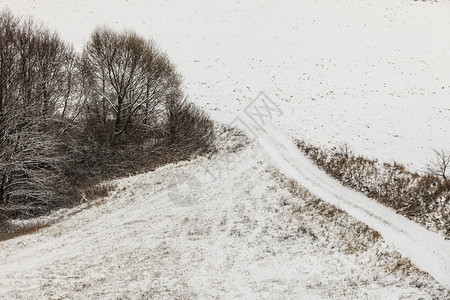 冬季和节特有山地树木覆盖着白新雪图片