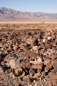 南加州沙漠中古老的火山风景图片