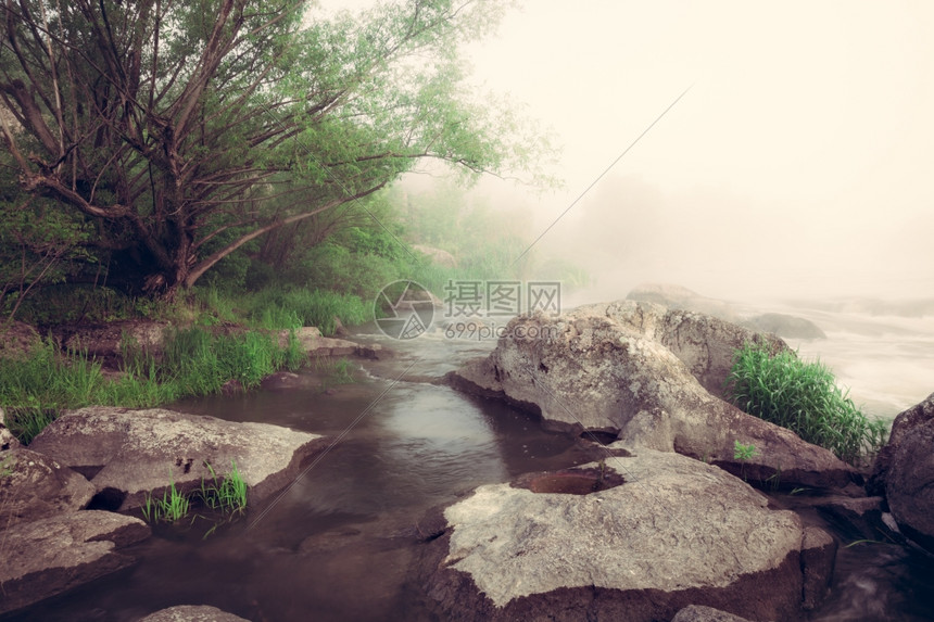 浓雾河清晨的景象图片
