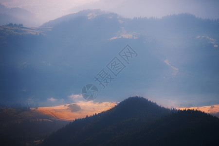 清晨迷雾的山丘图片