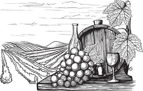 手绘黑白复古风葡萄园的葡萄酒和的罐子背景图片