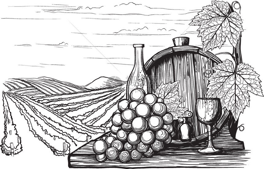手绘黑白复古风葡萄园的葡萄酒和的罐子图片