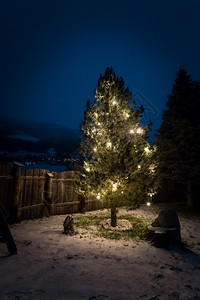 夜里光照着圣诞树装饰美丽图片