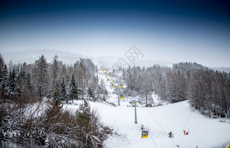 山上松树覆盖的坡上美丽滑雪电梯景观图片