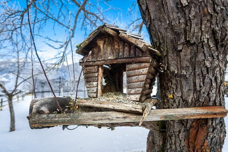 雪寒日树上旧手工筑巢箱的特贴照片图片