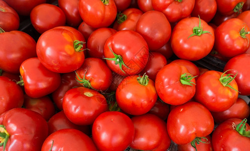 红西番茄在市场上销售新鲜成熟的西红番茄背景图片