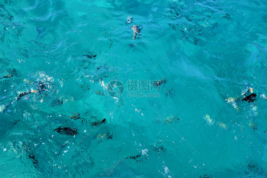 海中游鱼蓝水背景高清图片下载 正版图片 摄图网