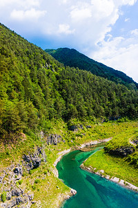 山区湖森林中的绿水湖图片