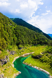 山区湖森林中的绿水湖图片