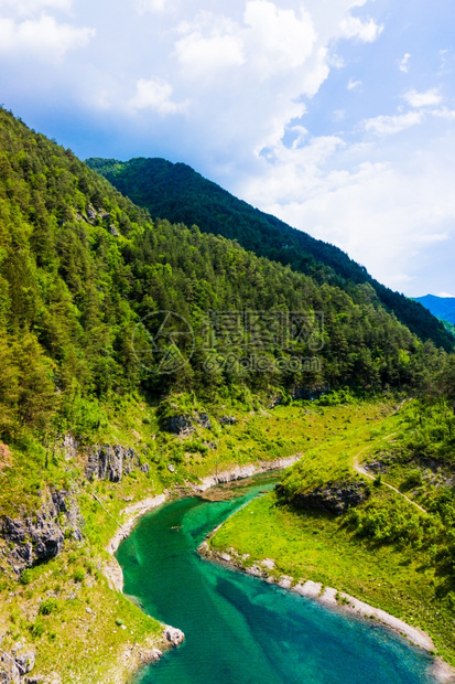 山区湖森林中的绿水湖图片