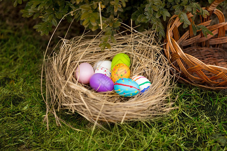彩色复活节鸡蛋放在院子里篮的近照图片