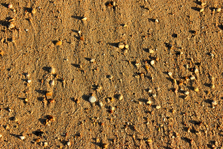 日落时的海滩泥背景棕色海沙子和太阳光的石头图片