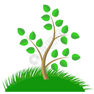 楼顶花园插画-楼顶花园卡通-矢量草光影背景所有对象均被分离插图-摄